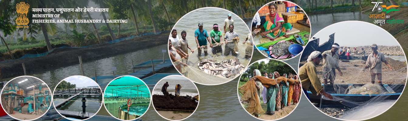 Fisheries